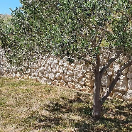 Mamma Mia Apartment Nin